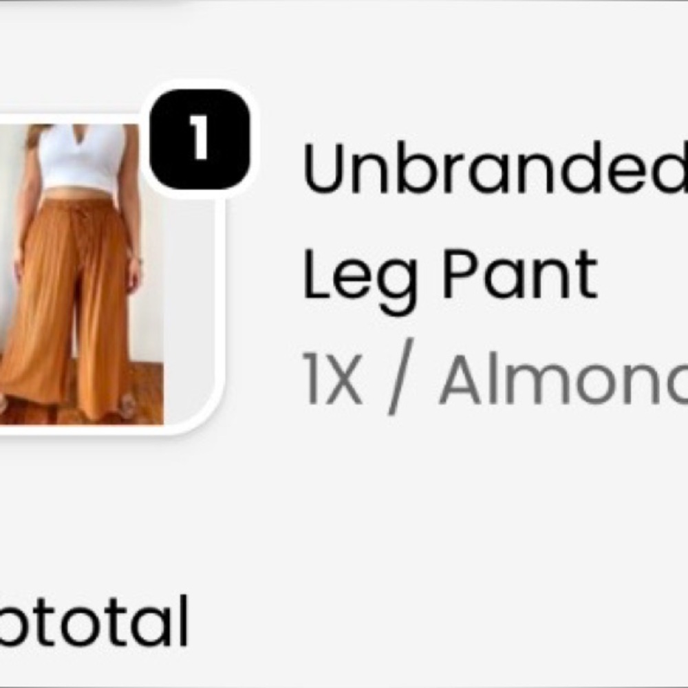 Rust Brown Pants - image 2